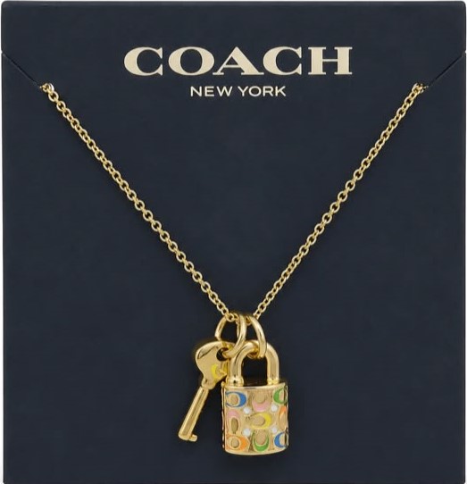 Coach Rainbow Padlock Necklace